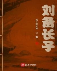 《刘备长子》