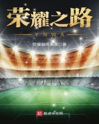 《荣耀之路YNWA》
