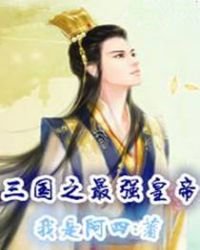 《三国之最强皇帝》