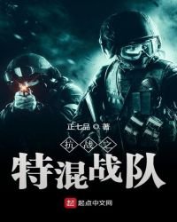 《抗战之特混战队》