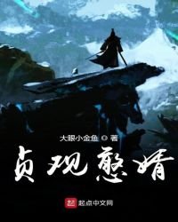 《贞观憨婿》