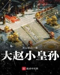 《大赵小皇孙》