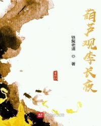 《葫芦观李长夜》