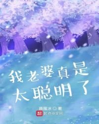 《我老婆真是太聪明了》