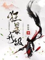 《穿进游戏后我狂暴升级》