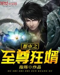 《都市之至尊狂婿》