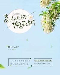 《高山上的槐花树》