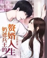 《奶爸兵王的赘婿人生》