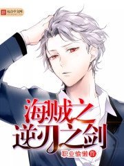 《海贼之逆刃之剑》