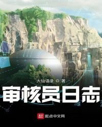 《审核员日志》