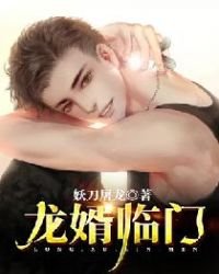 《龙婿临门》
