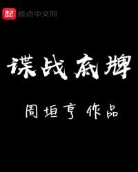 《谍战底牌》