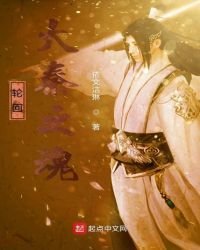《轮回大秦之魂》