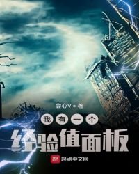 《我有一个经验值面板》