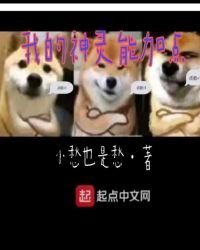 《我的神灵能加点》