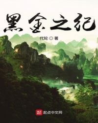 《黑金之纪》