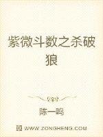 《紫微斗数之杀破狼》