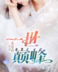 《一世巅峰》