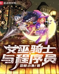 《女巫骑士与程序员》