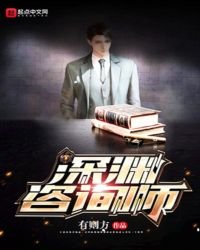 《审渊咨询师》