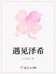 《遇见泽希》