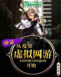 《神豪从投资虚拟网游开始》