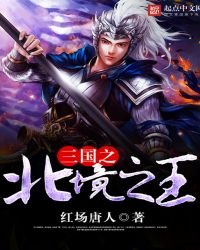 《三国之北境之王》