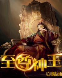 《至尊神王》
