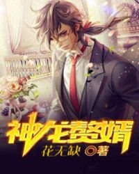 《神龙赘婿》