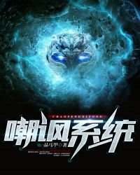 《嘲讽系统》