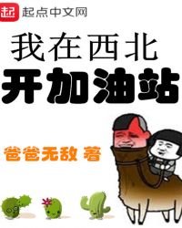 《我在西北开加油站》