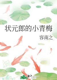 《状元郎的小青梅/状元郎的心尖宠》
