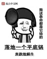《落地一个平底锅》