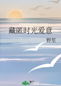 《藏匿时光爱意》
