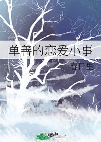 单善的恋爱小事