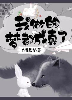 《我做的梦都成真了》