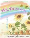 《晴天里的向座葵》