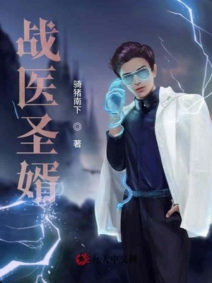 《战医圣婿》