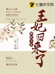 《神医卜女:王妃回来了》