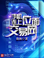 《手机连上位面交易网》