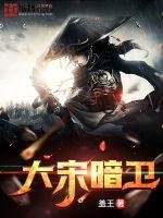 《大宋暗卫》