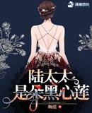 《陆太太是朵黑心莲》