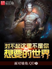 《对不起,这里不是你想要的世界》