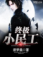 《终极小民工》