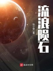 《流浪陨石》