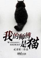 我的师傅是猫