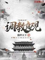 《调教贞观》