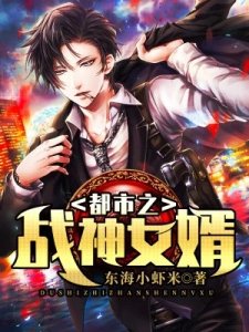 《都市之战神女婿》