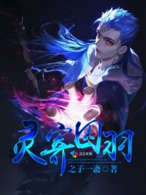 《灵寄囚羽》