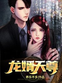 《龙婿天尊》